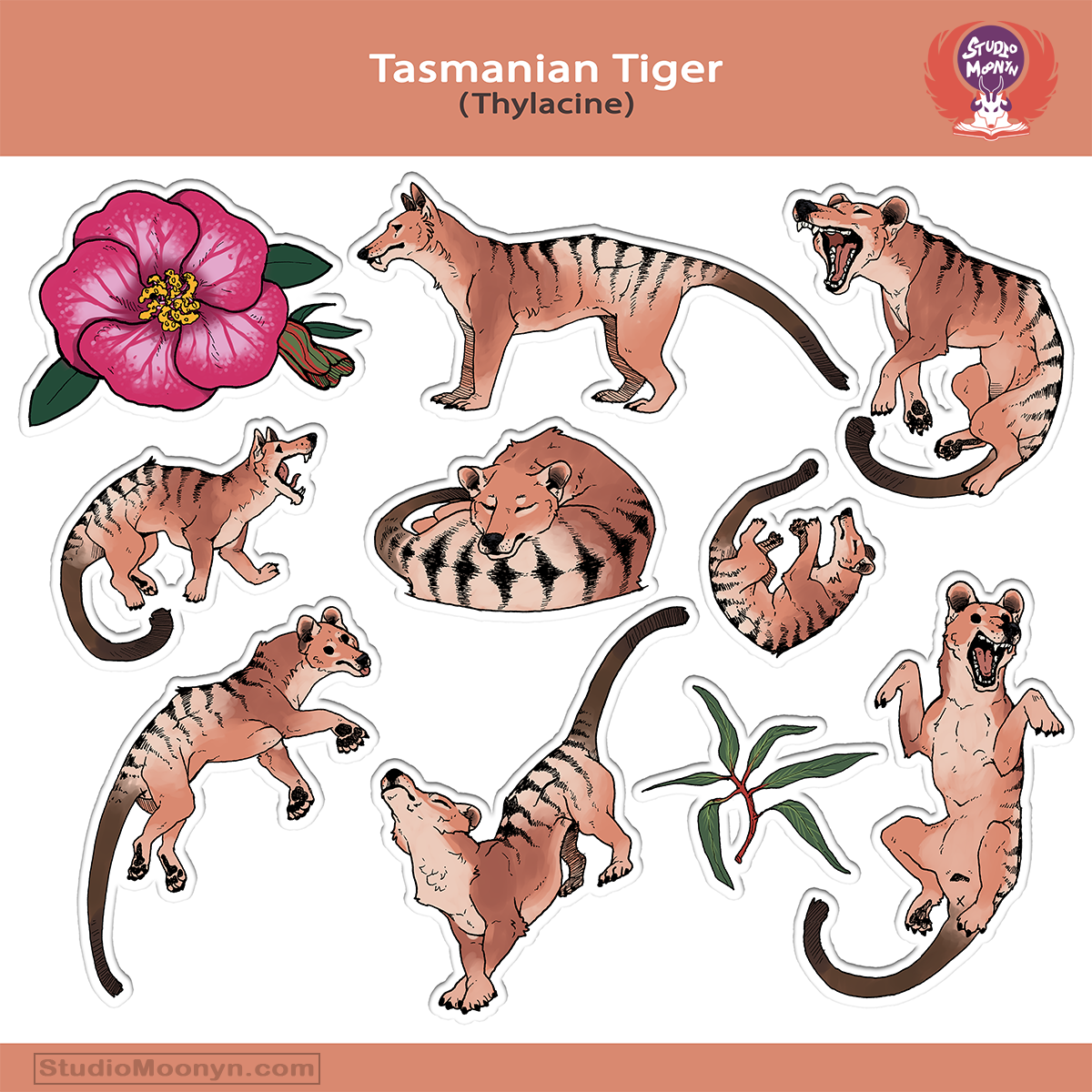 Tasmanian Tiger (Thylacine) - Indie Art Sticker Set